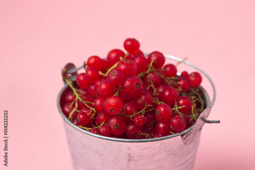 Red currants in a small bucket on a pink background. Bucket full of currants. delicious berry Red currants in a small bucket on a pink background. Bucket full of currants. delicious berry