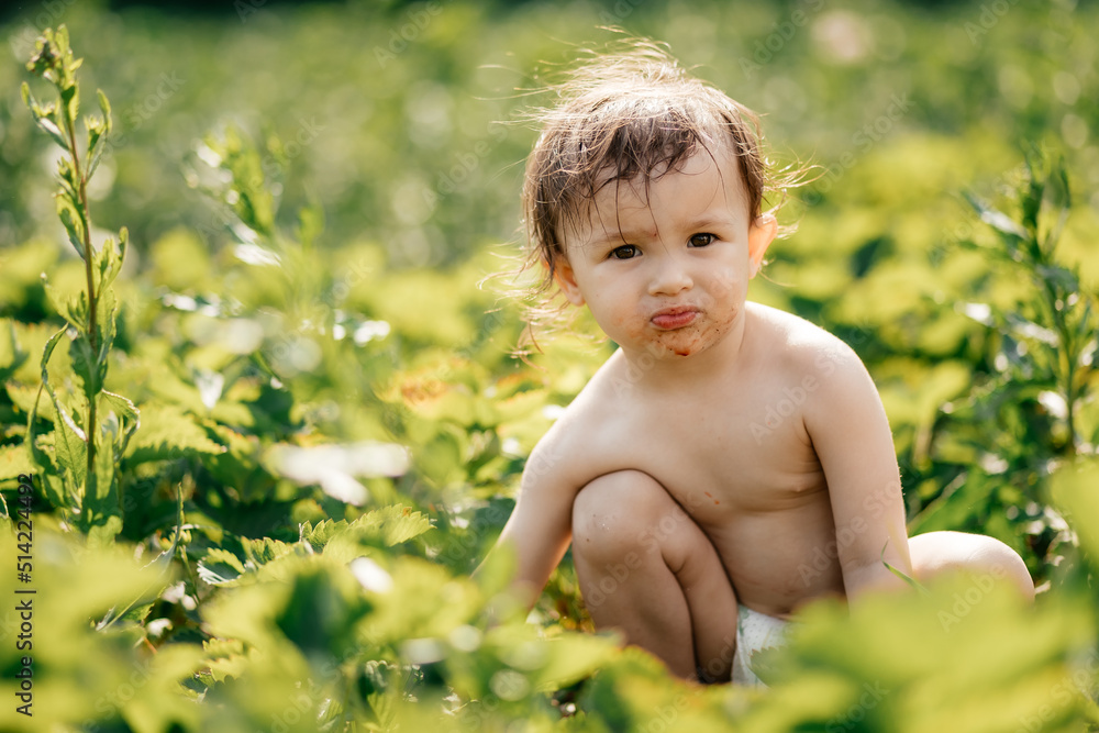 a little girl wearing only one diaper tastes sweet ripe strawberries in the village garden