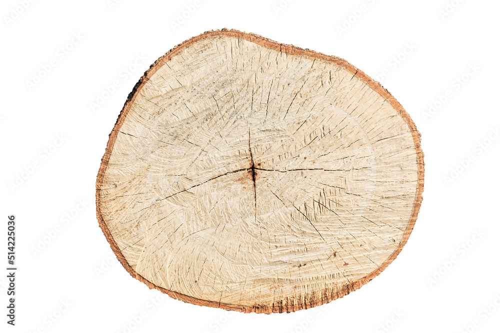 close up of cut timber showing the grain of the timber, isolate on white background. close up of cut timber showing the grain of the timber, isolate on white background.