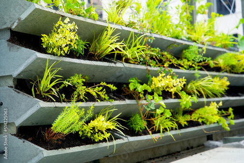 Green facade garden made of stacked flower boxes from recycled waste plastic. Vertical green oasis in the city of Groningen for climate adaptation. photo