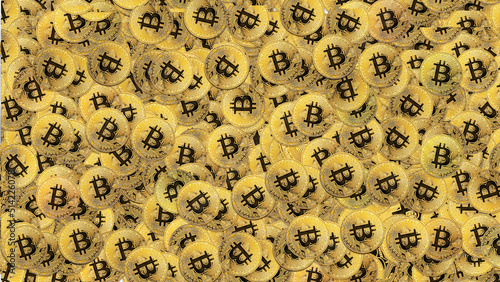 Bitcoin Coin