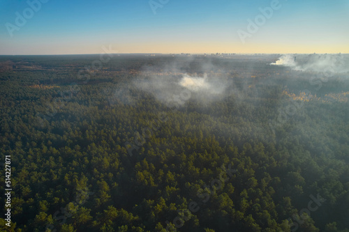 Strong fire in an empty forest. Fire spreads in a united front, strong smoke from the burning place. View from above, vertically from top to bottom.