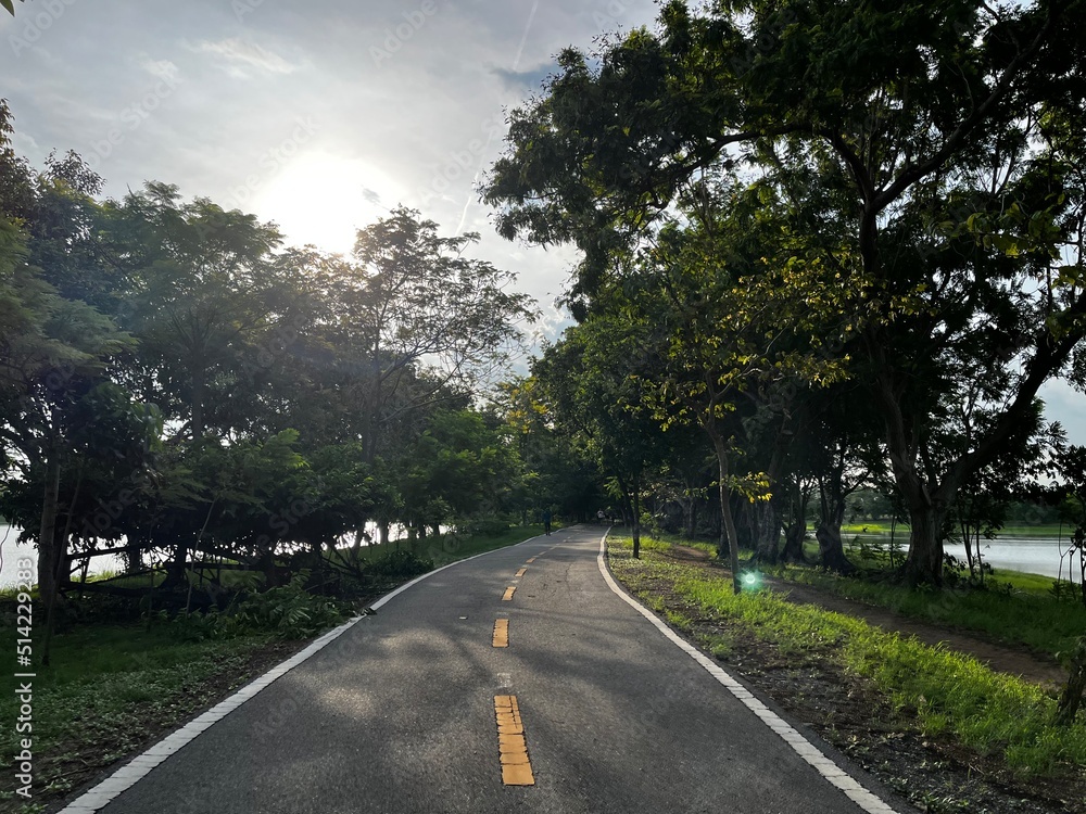 Fototapeta premium road in the forest