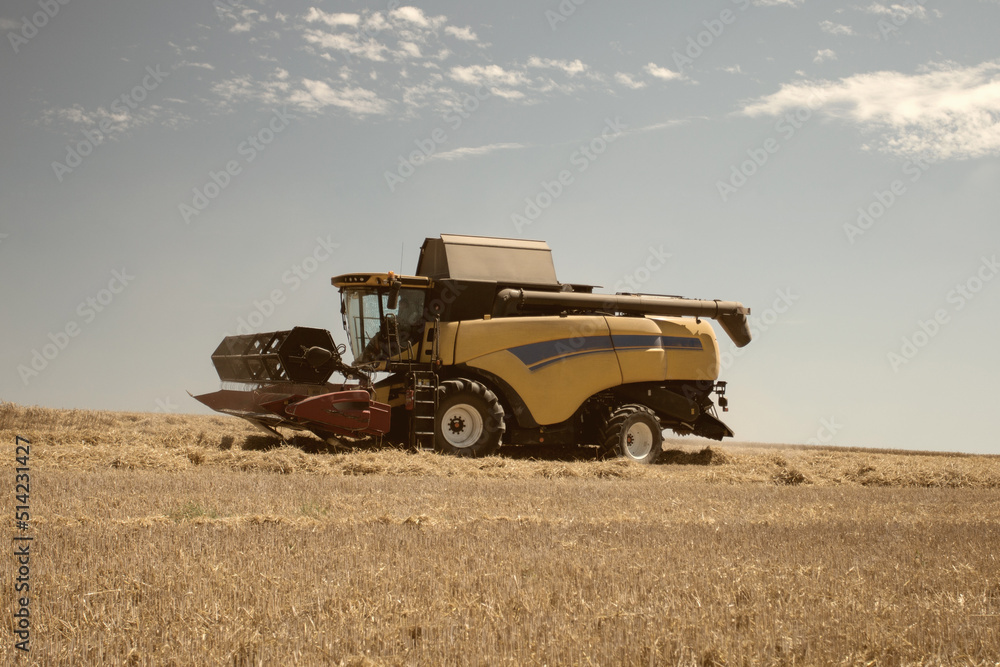 Obraz premium Modern combine harvester harvests ripe wheat at sunny day. Agricultural scene with blue sky. Rich harvest. Mowing field on summer time