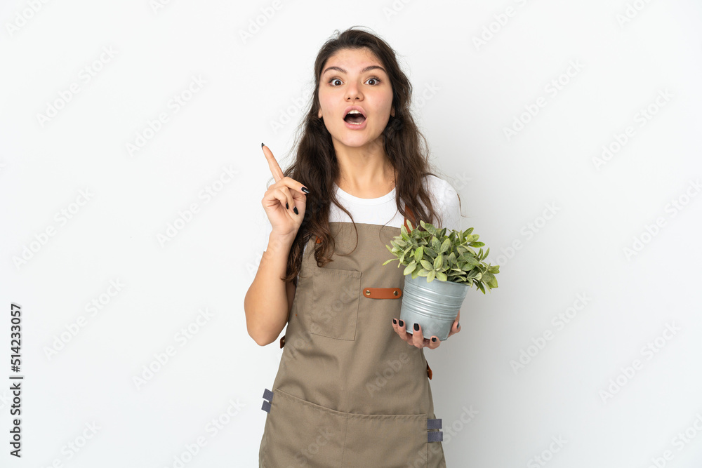 Young Russian gardener girl holding a plant isolated intending to realizes the solution while lifting a finger up Young Russian gardener girl holding a plant isolated intending to realizes the solution while lifting a finger up