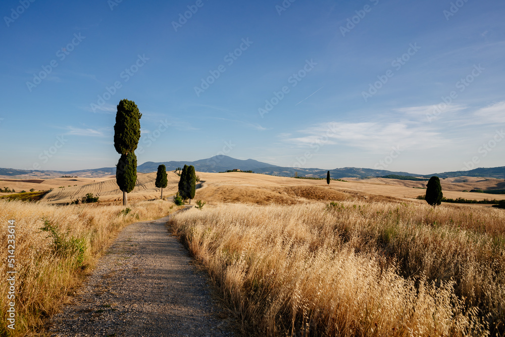 Tuscany, summer landscape, golden fields. Italy