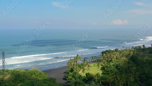 Wallpaper Mural waves crashing on long black sand beach in Bali with tropical coconut trees on sunny day, aerial Torontodigital.ca
