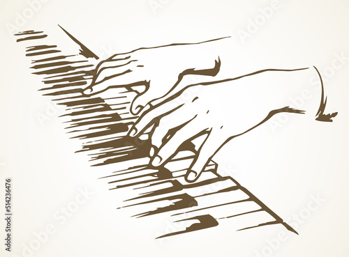 Hands on piano keyboard. Vector drawing