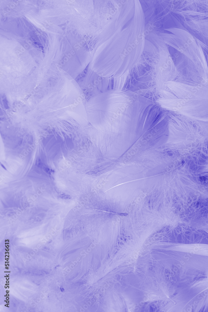 Colorful feather background, top view. Colorful feather background, top view.