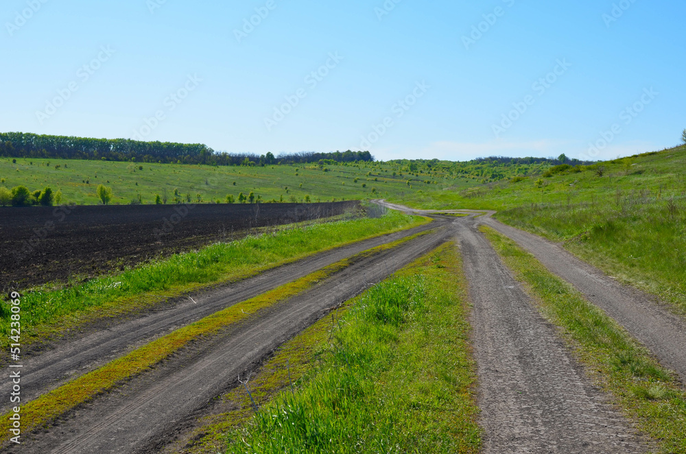 Naklejka premium two dirt roads converge into one.the road between the field and the meadow.
