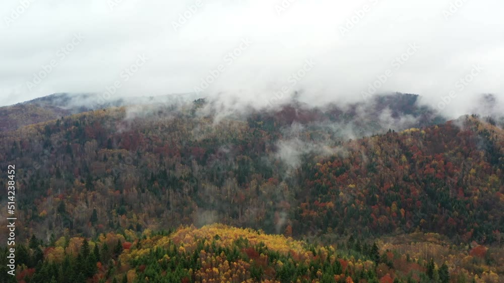 Aerial drone view of glow nature in yellow, golden, green colors, tracking shot. Vivid autumn landscape among mountains and woods with haze Aerial drone view of glow nature in yellow, golden, green colors, tracking shot. Vivid autumn landscape among mountains and woods with haze