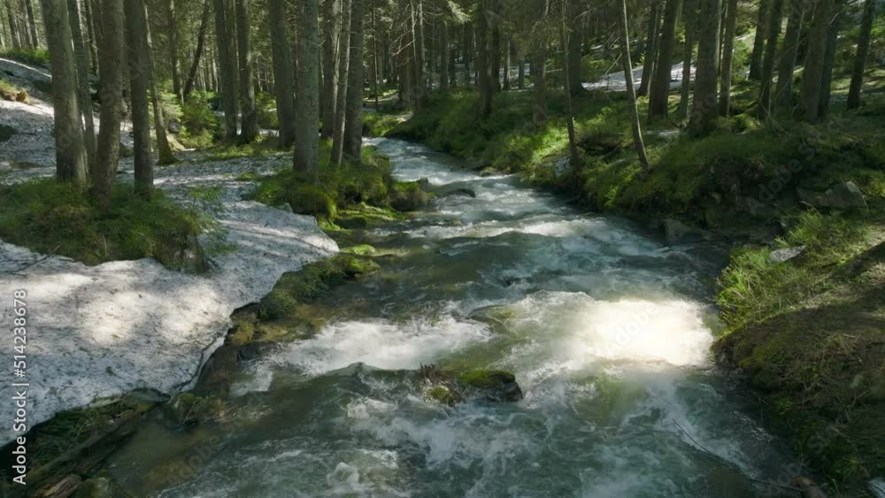 River forest water nature sun snow grass green wood tree magic ice clean River forest water nature sun snow grass green wood tree magic ice clean