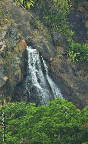 A beautiful waterfalls seen from Ooty-Masanagudi road, Tamilnadu, India © Naseeb