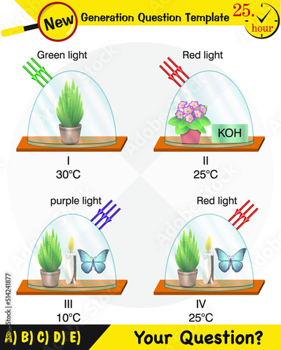 Physics, Joseph priestley's experiment, Photosynthesis phenomenon of plant experiment, Mouse, Butterfly, Oxygen and plant experiment, next generation question template, eps 