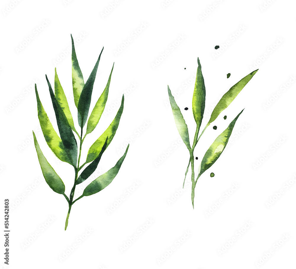 Obraz premium Seamless watercolor illustration of green leaves and branches, circles, on white or black background, suitable for wallpaper, cards, clothing, textiles, fabric, packaging, clothing, dress, invitations