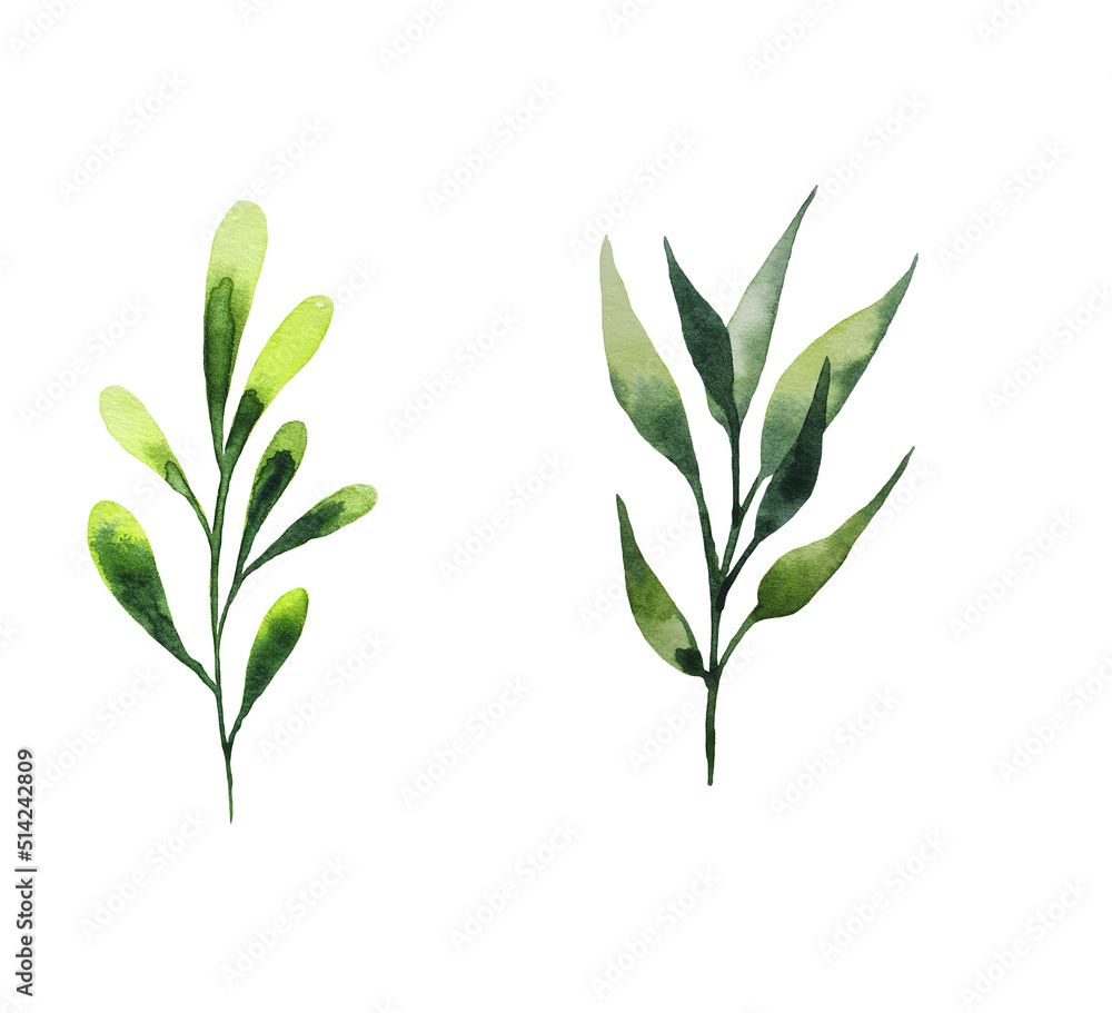 Obraz premium Seamless watercolor illustration of green leaves and branches, circles, on white or black background, suitable for wallpaper, cards, clothing, textiles, fabric, packaging, clothing, dress, invitations