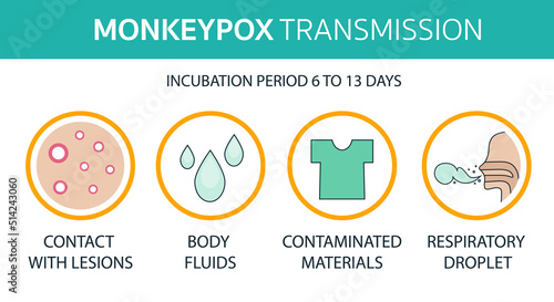 Monkeypox virus transmisiion infographics contact, fluids, respiratory. world health organization. Infected people spreading from monkey. Flat design with icons photo