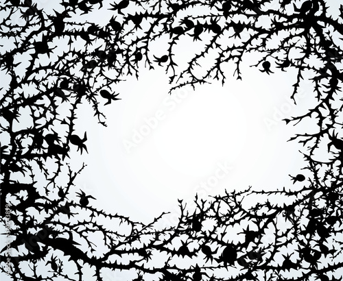 Branch of Blackthorn. Vector drawing