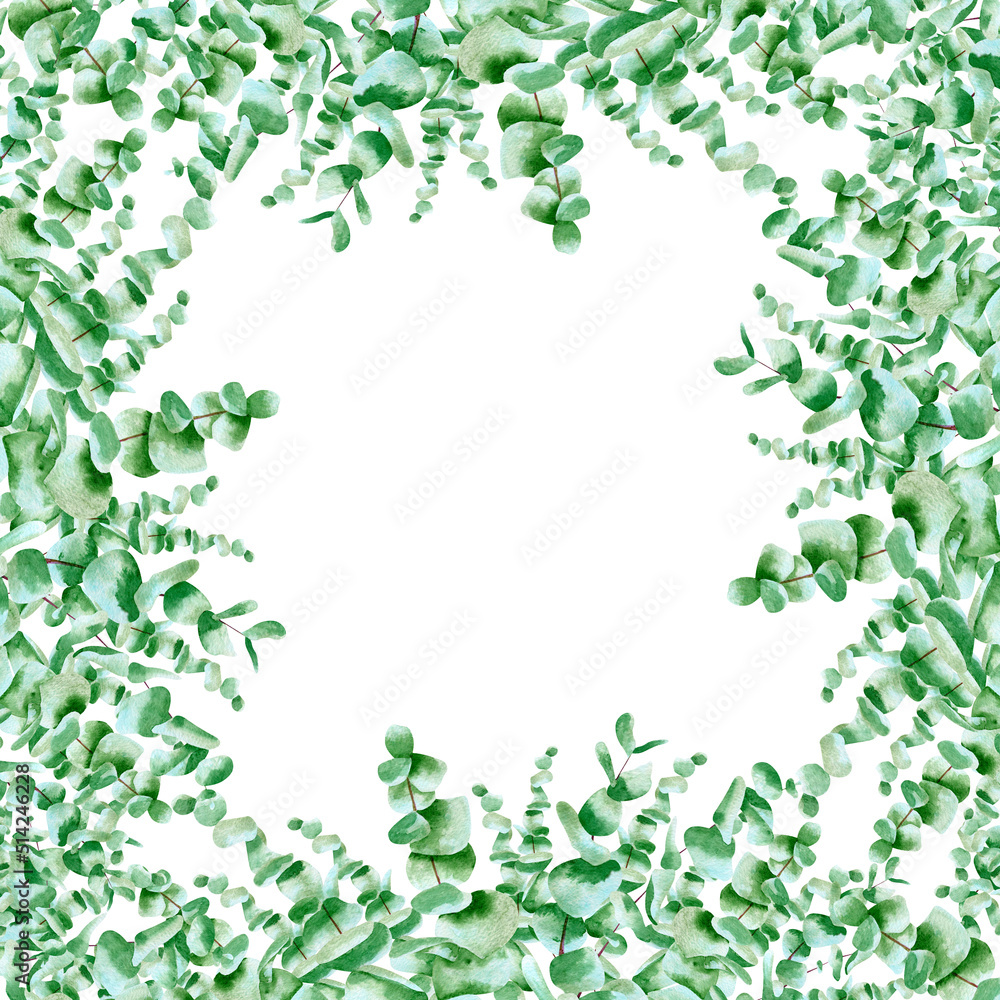 Watercolor square frame with eucalyptus leaves. Botanical illustration with green plants leaf and branches for invitations, cards Watercolor square frame with eucalyptus leaves. Botanical illustration with green plants leaf and branches for invitations, cards