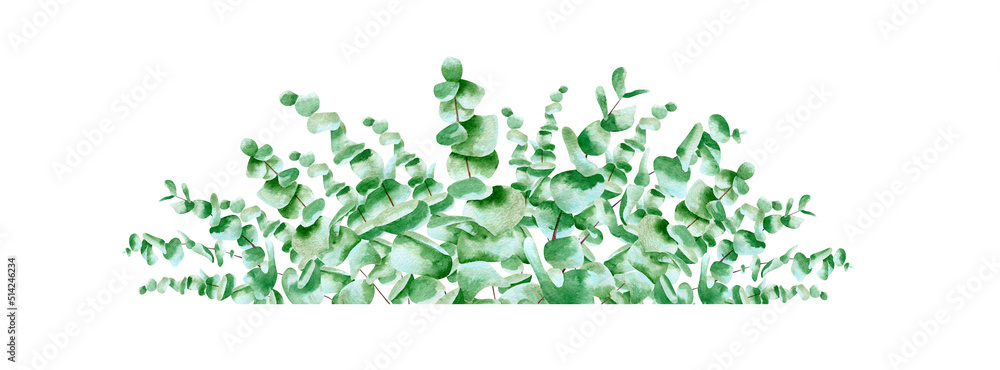 Watercolor banner with eucalyptus leaves. Floral horizontal frame with botanical illustration of green plants leaf, branch
