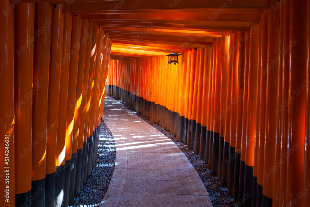 Fototapeta premium Row of Vermillion torii gates in the Fushimi Inari Shrine in Southern Kyoto