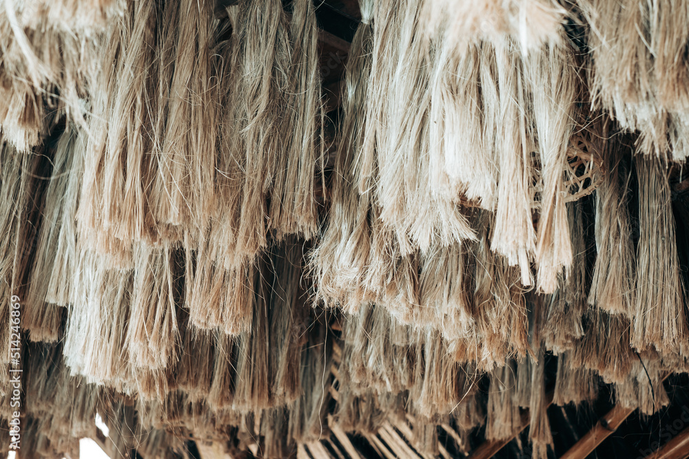 Array of hanging Abaca plant fibers, a natural leaf fiber, also called