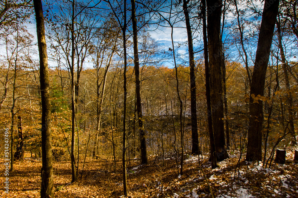 Fototapeta premium Hemlock Cliffs in Autumn after a light snow, Indiana