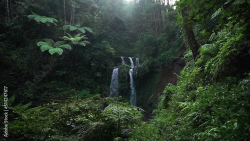 waterfall in the middle of forest named Grenjengan Kembar, Central java, Indonesia. Bushes in the foreground of natural waterfall photo