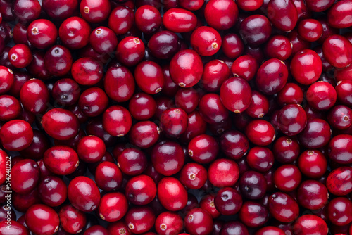 Cranberry bio background  food background.