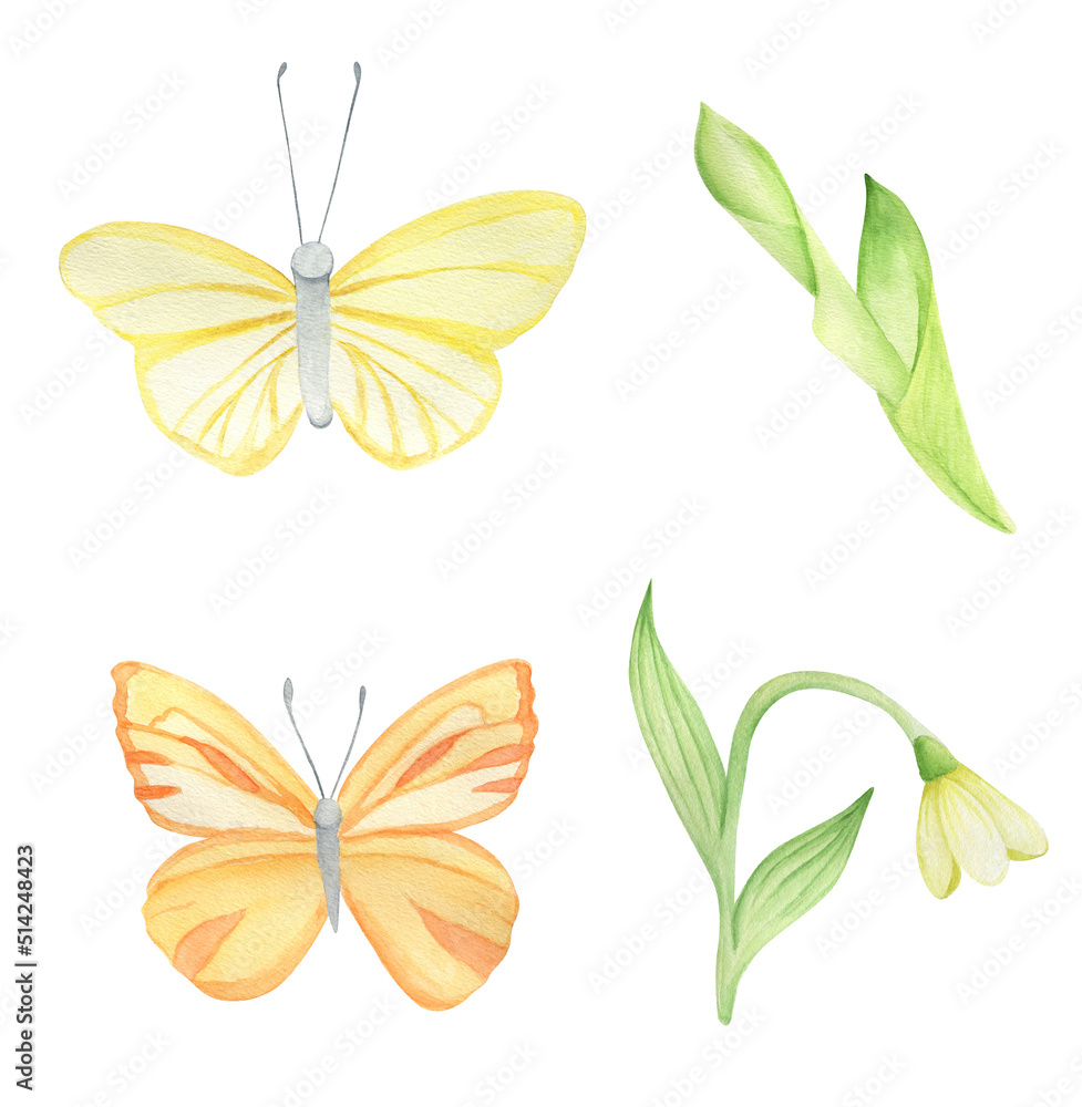 Watercolor set butterfly, leaf and flower bell. Colorful set for kids, cards, invitation, baby shower, poster. On white background.