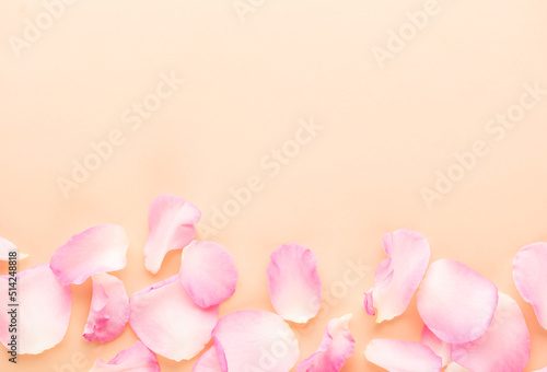 Rose flowers petals on pastel background. Valentines day background. Flat lay, top view, copy space. © gitusik