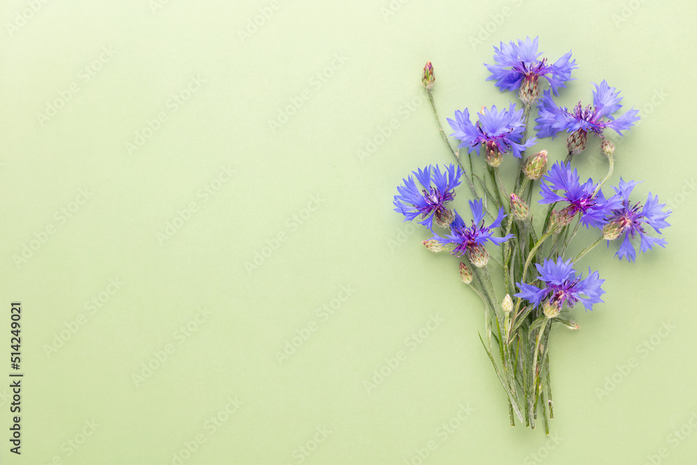 Fototapeta premium Alternative Medicine. Centaurea cyanus, Cornflower Herb capsule, Nutritional Supplement.