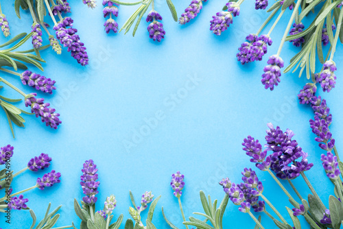 Flowers composition  frame made of lavender flowers on pastel background.
