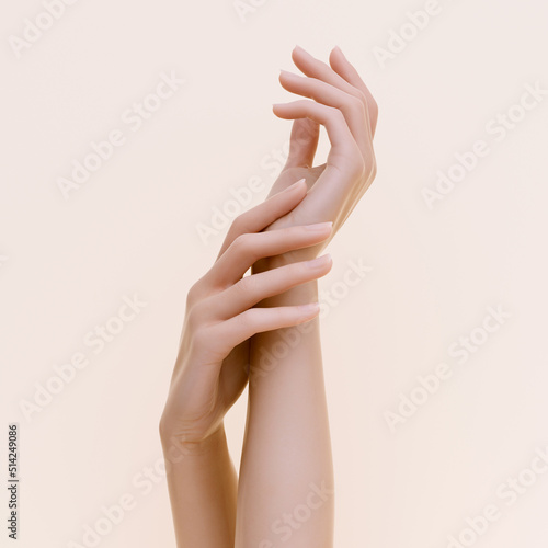 Gentle posture of hands  refined beautiful female hands  clean and well-groomed skin  3d rendering