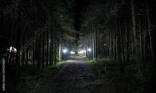Night Background Very Cool