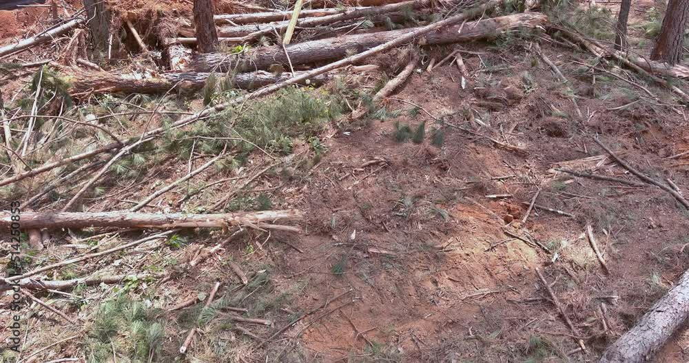 A deforestation forest is used to prepare land for new subdivision house complex by removal up tree stumps and roots when forest has been cleared. A deforestation forest is used to prepare land for new subdivision house complex by removal up tree stumps and roots when forest has been cleared.