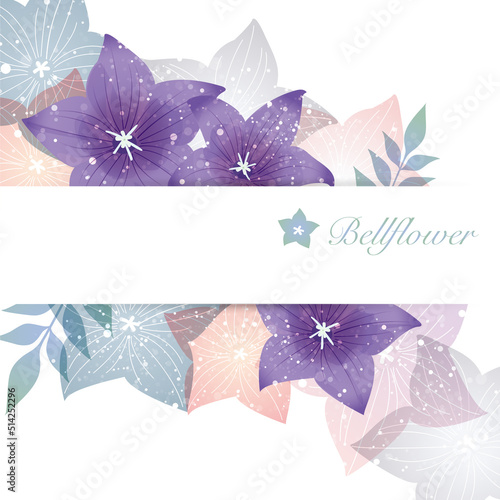 Wallpaper Mural 桔梗の花のイラスト背景 Torontodigital.ca