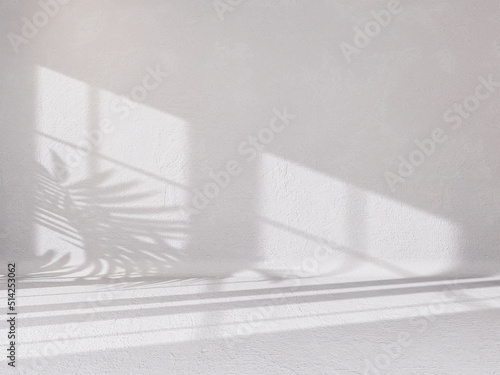 Abstract white studio background for product presentation empty room with shadows of window and flowers and palm leaves 3d room with copy space summer concert blurred backdrop.