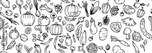Delicious vegetables Garden fruits. Seamless pattern. Edible food plants. Hand drawn outline. Monochrome drawing. Isolated on white background. Vector