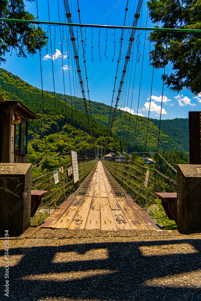 Fototapeta premium 谷瀬の吊り橋 奈良県十津川村