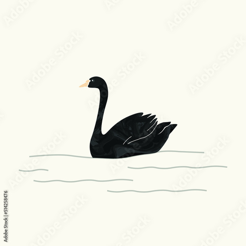 black swan logo type watercolor