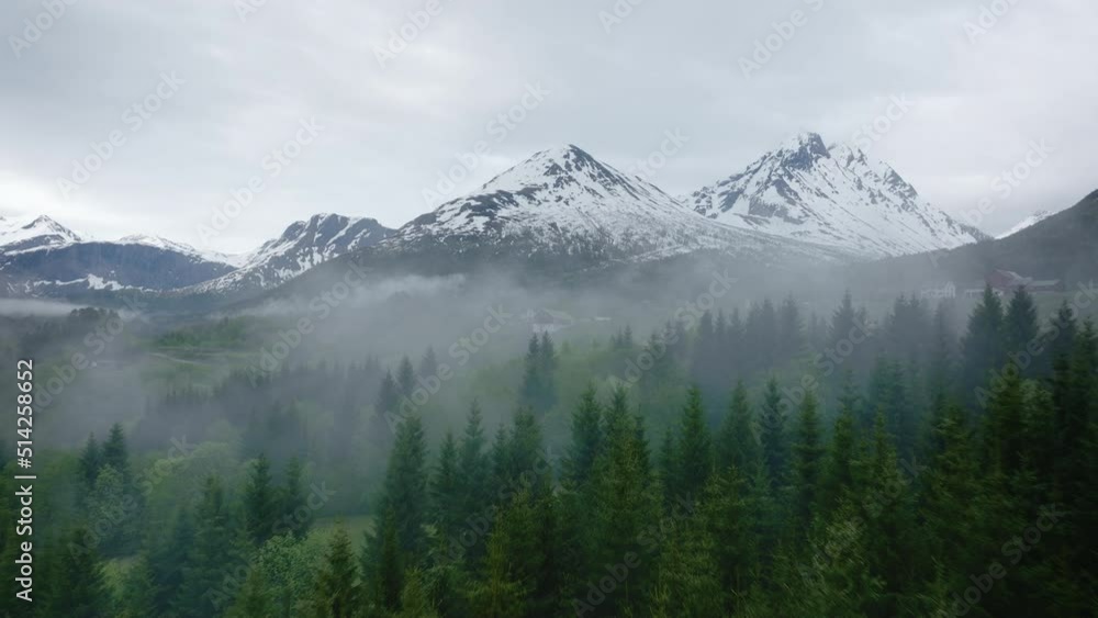 fog over the trees in the mountains fog over the trees in the mountains