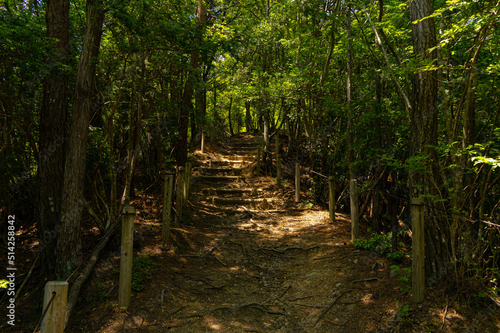 Obraz premium 展望台へ通じる散歩道