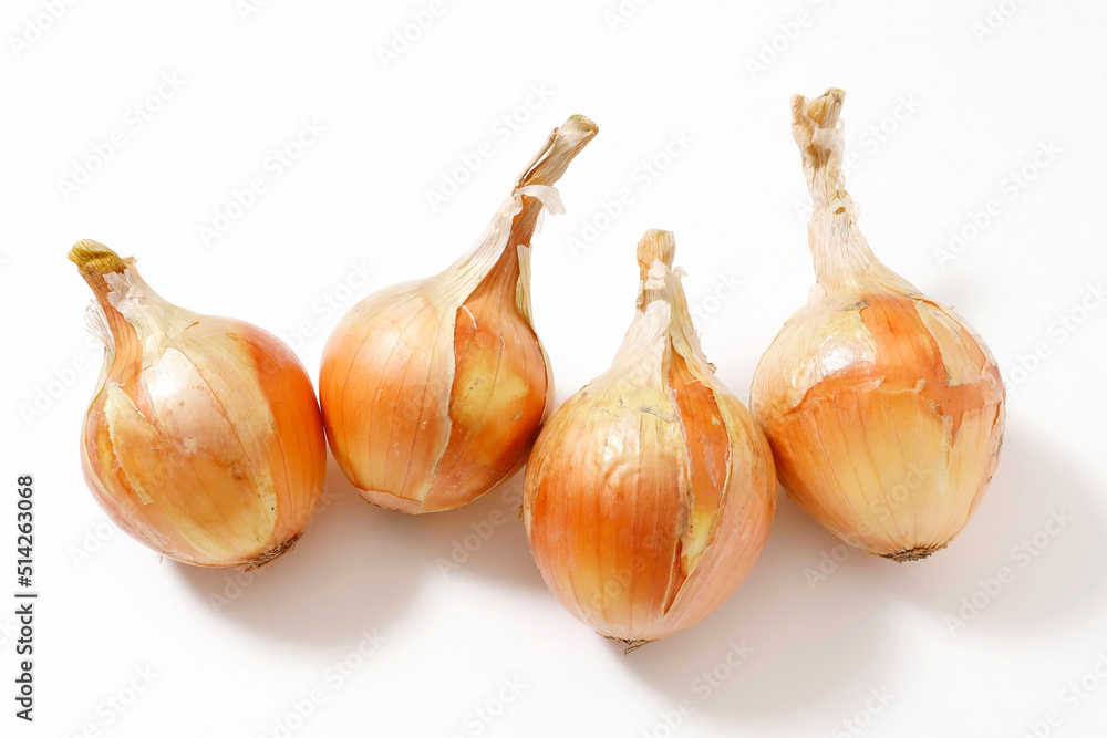 Fototapeta premium 玉ねぎ