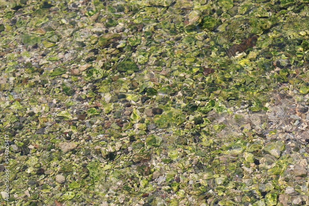 water on moss covered stones