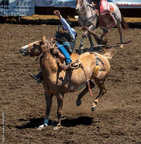 A rodeo cowboy is being thrown from a bucking bronco. His chaps are in his face. His hand is up. Part of an out of focus horse is in the background The arena is dirt