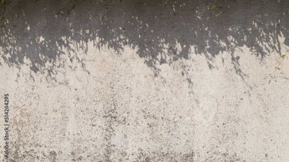 Rustic wall. Wall background with plant shadows.Space for text. Rustic wall. Wall background with plant shadows.Space for text.
