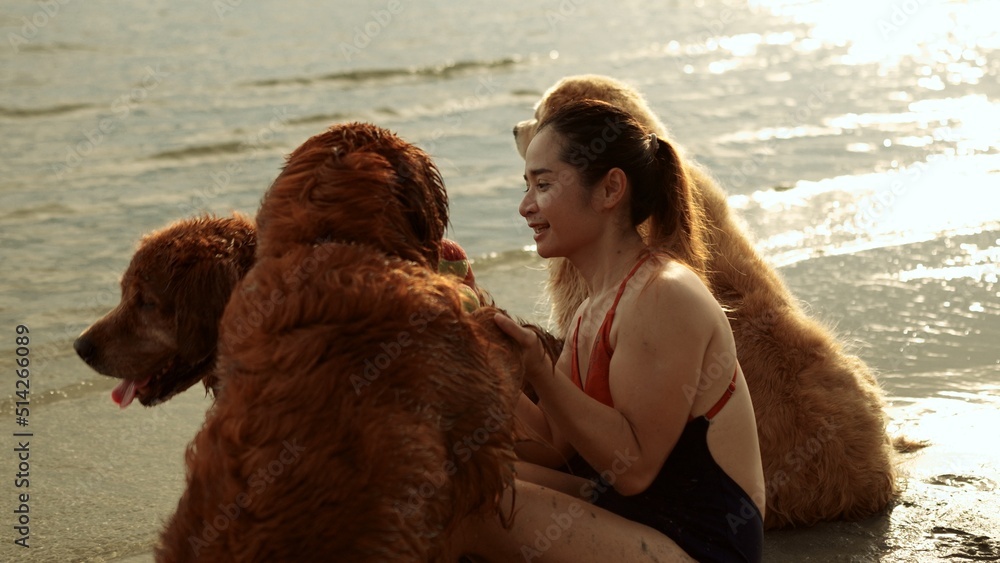 Happy woman with dog golden group sitting relax and resting at sunset enjoy freedom on the beach, Female with pets happiness outdoor people lifestyle. Happy woman with dog golden group sitting relax and resting at sunset enjoy freedom on the beach, Female with pets happiness outdoor people lifestyle.