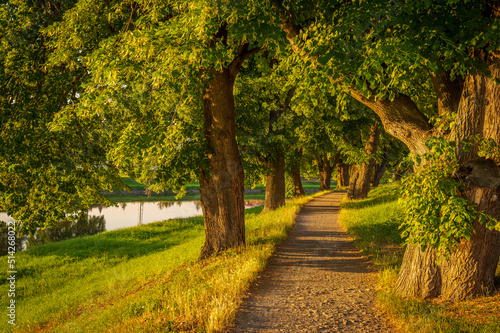 River, sunset, summer, trees, iron bridge