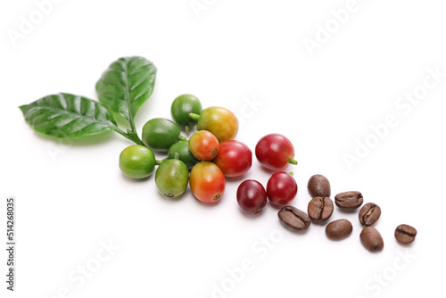 Leinwand Poster coffee cherry beans and leaves
